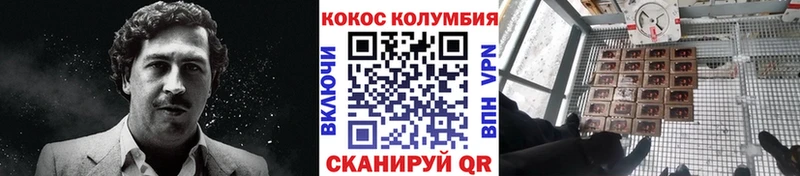 Кокаин 97%  закладка  Злынка 