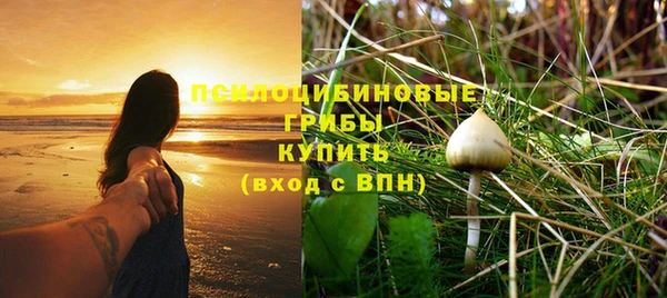 мяу мяу мука Баксан