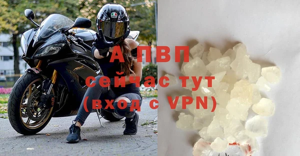 шишки Балабаново