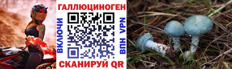 дарк нет как зайти  Злынка  Псилоцибиновые грибы мухоморы  hydra сайт 